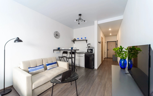 Квартира Радищева 41