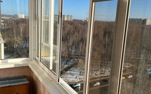 V Tsentre Goroda, Ryadom S Aeroportom Sheremetyevo Flat