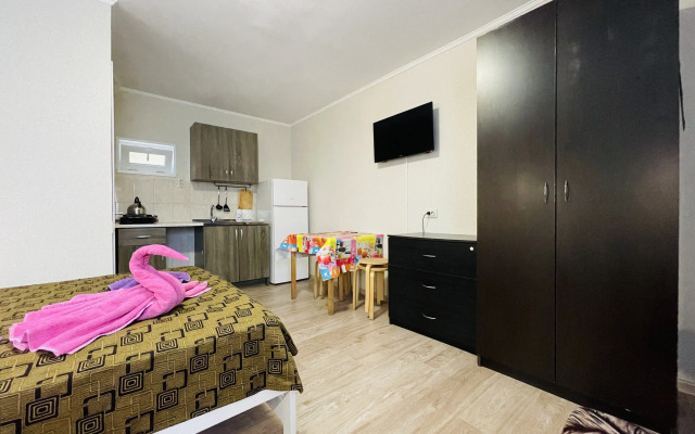 Апартаменты Гости 10