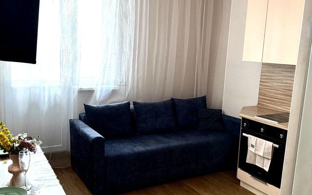 Odnokomnatnye v Parke okolo Ozera Apartments