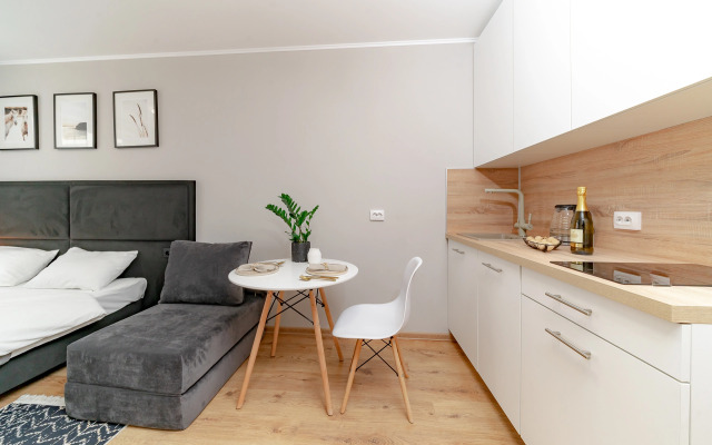 Апартаменты Уютная студия 1743