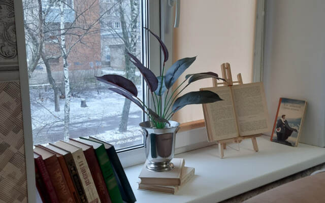 Квартира на набережной Александра Невского