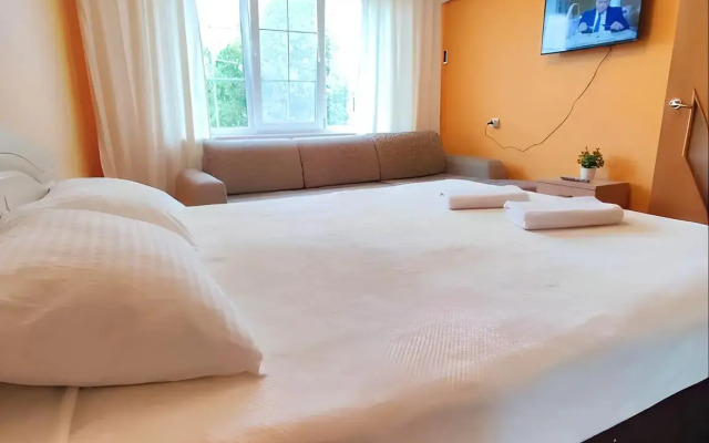 Uyutnaya Svetlaya v Tsentre Flat
