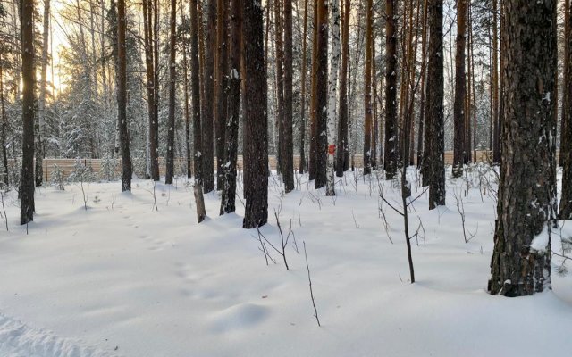 Глэмпинг Эко Парк Dreamhouse Village