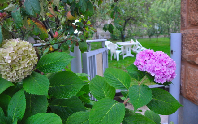 Kamar Guest house