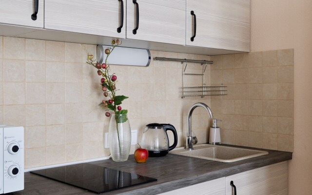 Апартаменты Prudius Apart на Васильевском острове (Осень)