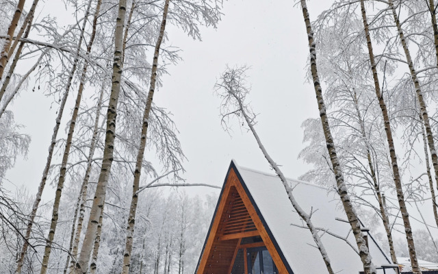 Частный дом Aframe