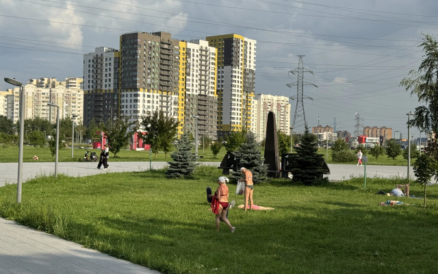 Svoy Lux Flat
