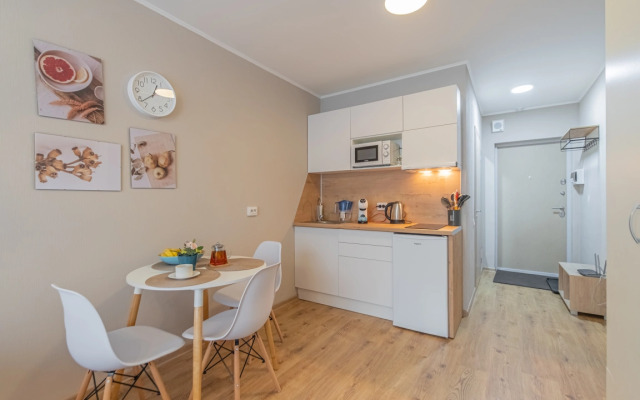 Apartment Standart SalutApart 8