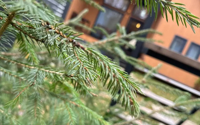 Частный Дом Барнхаус №2 на 10 гостей, с дровяной баней и горячим чаном