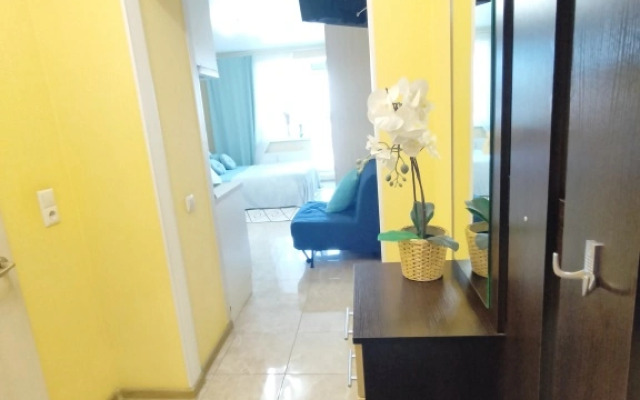 Апартаменты Студия Комфорт с Балконом Lesnaya