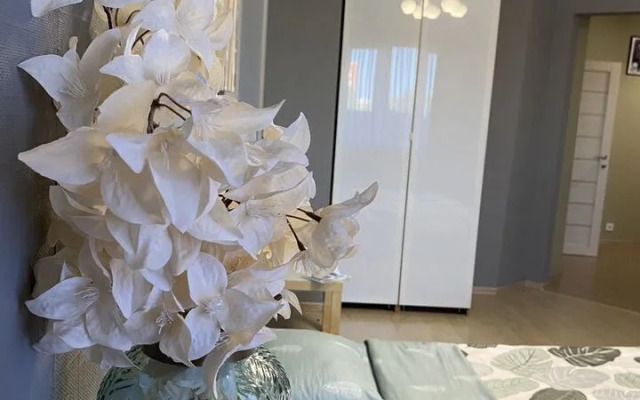 Квартира на Депутатской 25 (Е3)