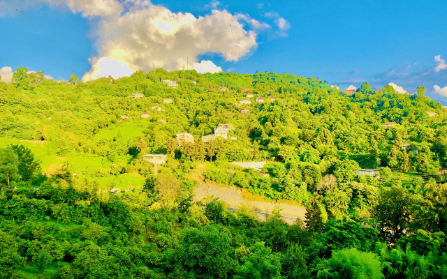 Отель Holiday House Green Gape Batumi
