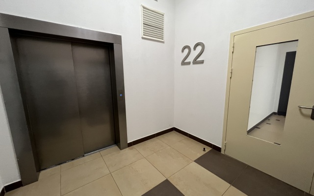 Apartamenty Vid Na Nevu S Vysoty Ptichyego Polyota