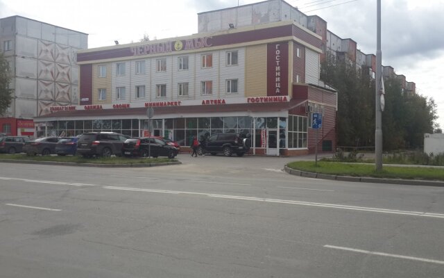 Chernyi Myis Hotel