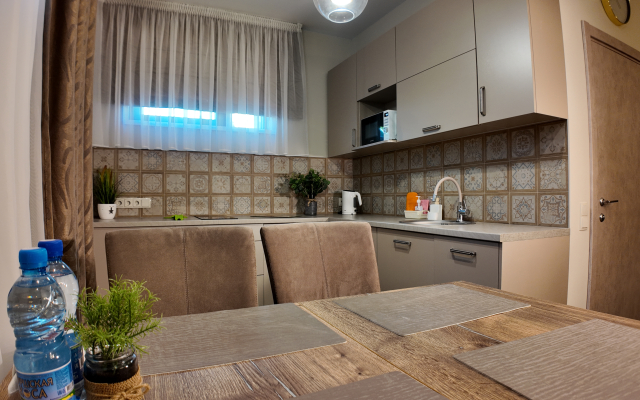 Апартаменты Apart SV1 Цоколь Раушен Престиж