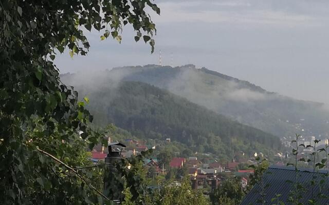 Gostevoy Dom Country Homestay Altai Guest House