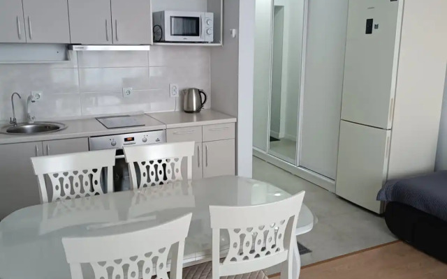 Апартаменты на берегу озера Боровое