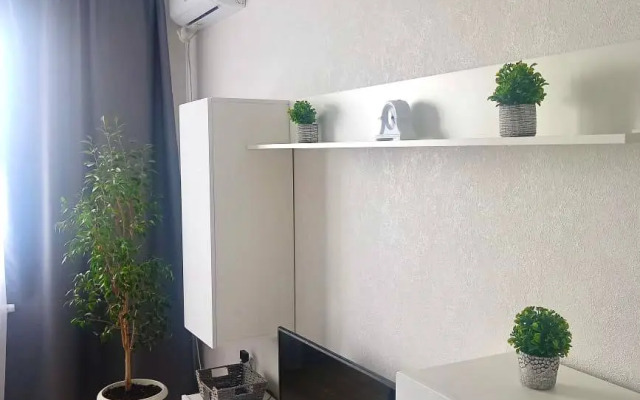 Квартира Уютная однокомнатная квартира ЖК Озерки