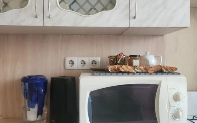 Studiya V Tsentre Goroda Flat