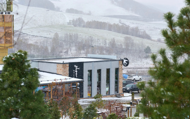 Отель Алтай Пэлас