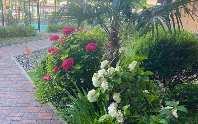 Novaya Svetlaya V Sochi Nedaleko Ot Morya Flat