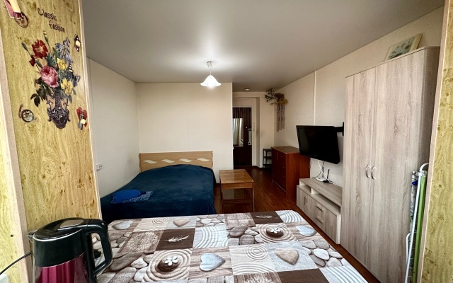 Квартира 1 комнатная Пансионат улица Седова 64А