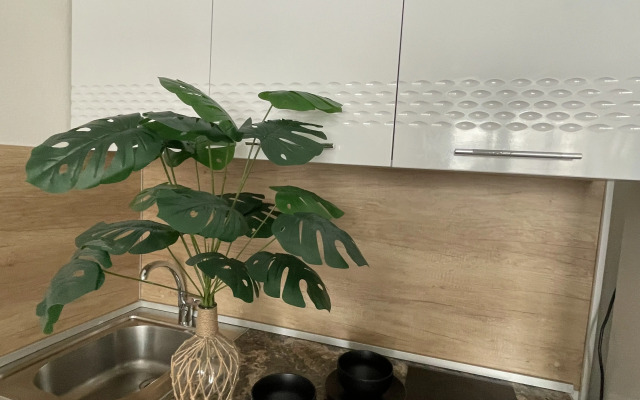 Krasivaya Studiya S Balkonom Flat