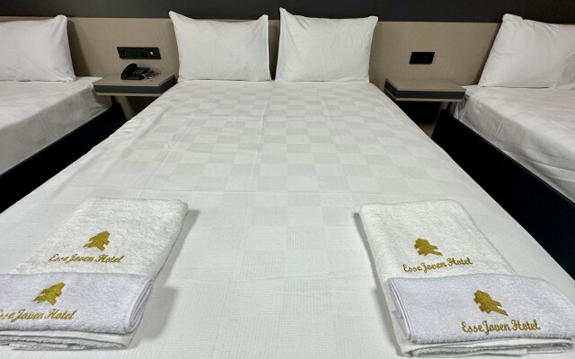 Esse Joven Hotel