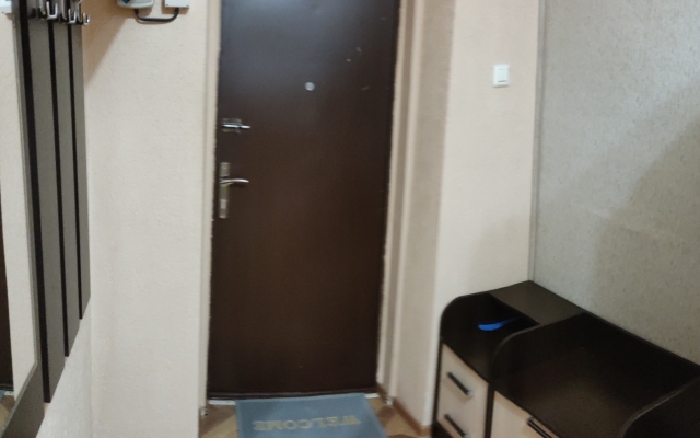 Двухкомнатная  квартира в Центре на Рожанского