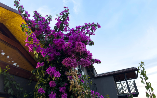 Boutique hotel AIMARA