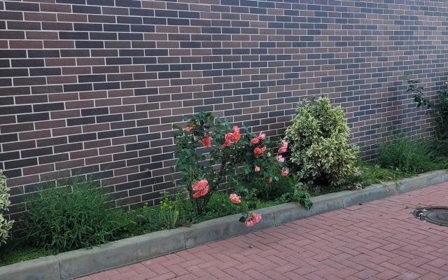 Квартира Видовая у Моря