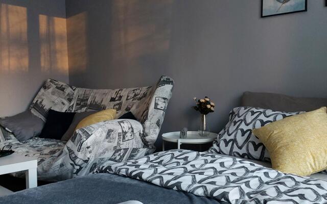 Студия вблизи соснового бора