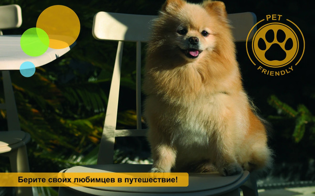 Отель Cosmos Smart Sochi Tivoli