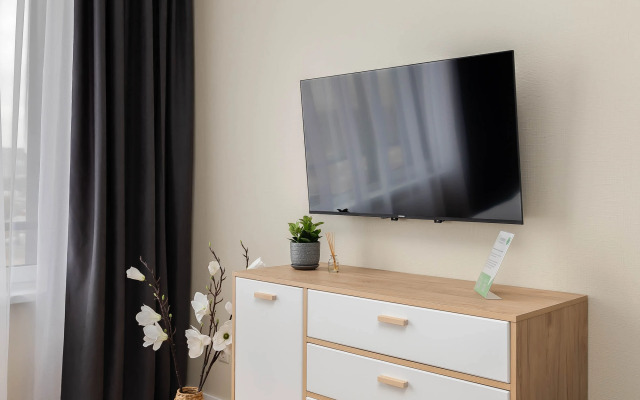 Apartment Knokey Shelepikha