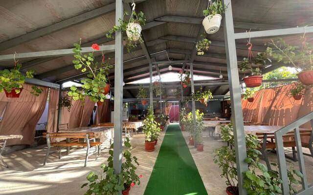 Alisa Guest house