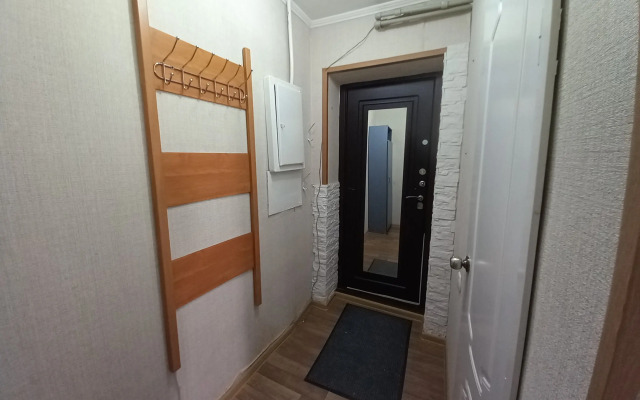 Odnokomnatnaya v centre Flat