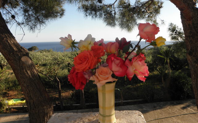 Апартаменты Studios Crete