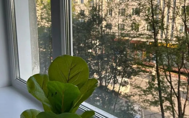 Квартира Белый Медведь на Дзержинского 8