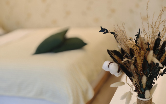 Uyutnaya Dvushka v Tsentre Dostoprimechatelnostey Flat