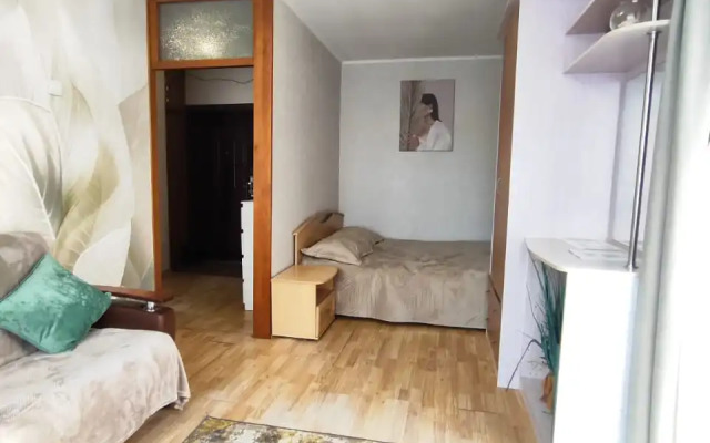 Апартаменты на Пушкинской 68