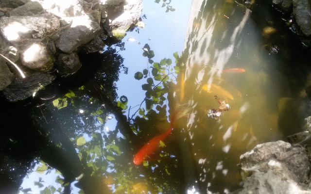 Гостевой дом Эвкалипт