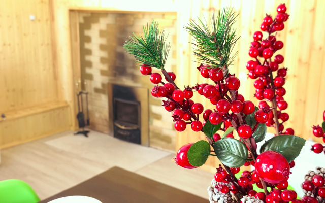 Частный дом Камчатский край Елизово улица Омская 37А