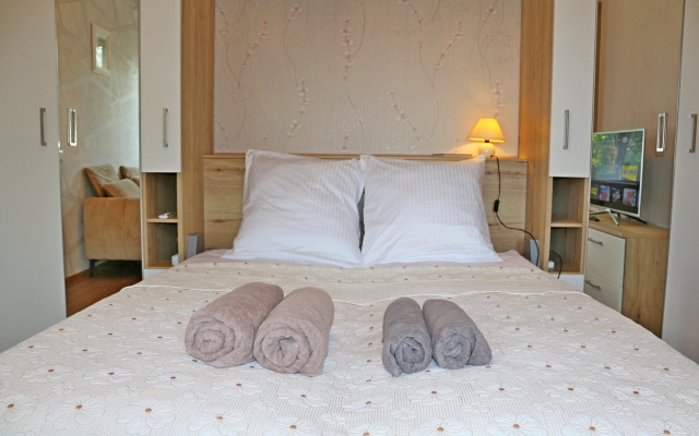 Niceaparts Maksimova, 7 Istoricheskiy tsentr g. Yaroslavlya Flat