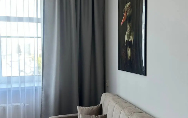 Odnokomnatnyje Roomroom Dzhentlmeny Apartments