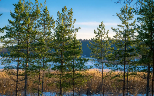 Park-otel' Amilahti