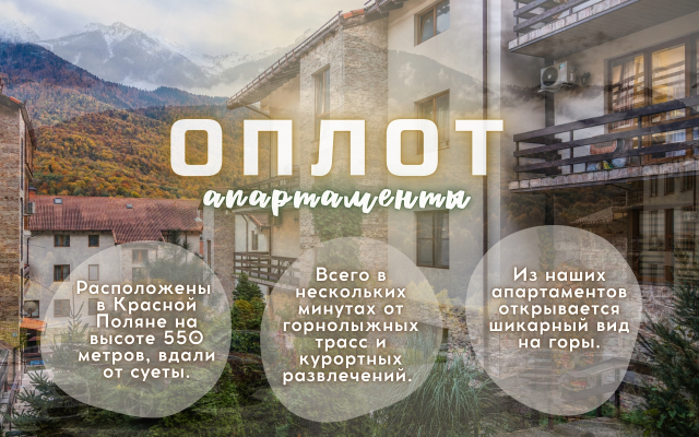 Апартаменты Оплот - «SCANDI» - с мини балконом 2