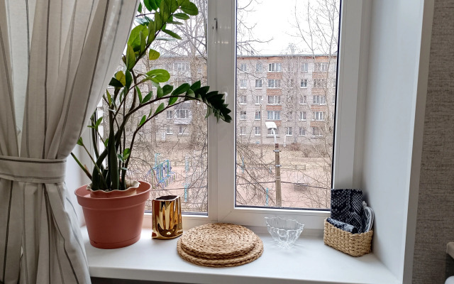 V Tsentre Petergofa u Fontanov Flat