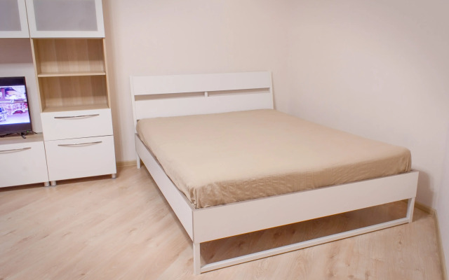 Квартира 1-комнатная у Алмазова и м. Удельная