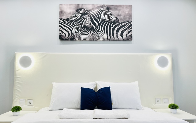 Апартаменты Hanaka Вострухина 4/1